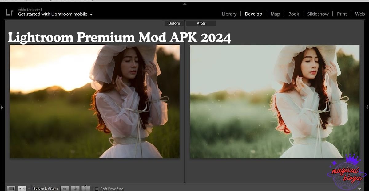 A Comprehensive Guide to Lightroom Premium Mod APK 2024 Unlock All Features for Free