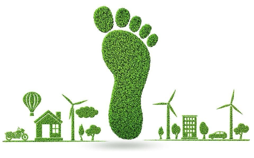 Carbon Footprint